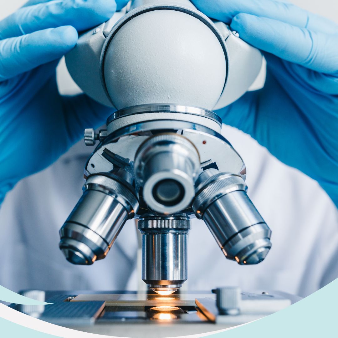 Laboratorio · Clínica Veterinaria La Gavia
