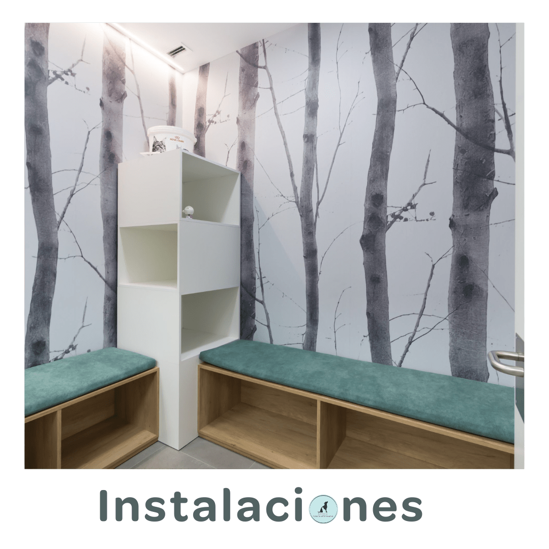 Instalaciones · Clínica Veterinaria La Gavia
