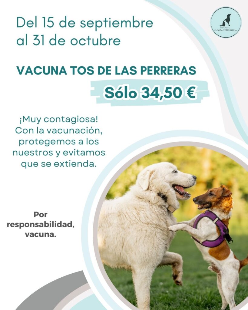 Campaña de vacunación contra la tos de las perreras en Clínica Veterinaria La Gavia, Madrid. Cuatro perros felices en un paseo al aire libre tras recibir su vacuna, prevención eficaz frente a una enfermedad respiratoria muy contagiosa.